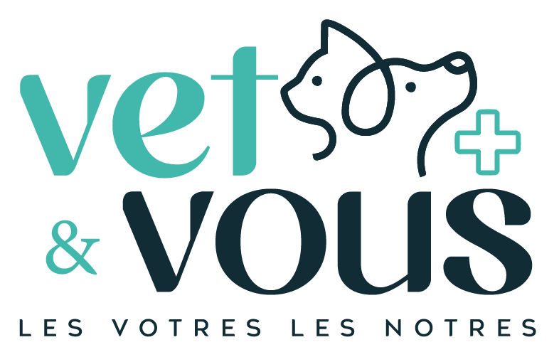 Clinique vétérinaire Vet&Vous